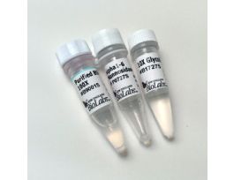 ALPHA 1-6 MANNOSIDASE