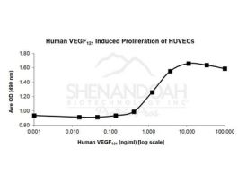 ANIMAL FREE HUMAN VEGF 121 1MG