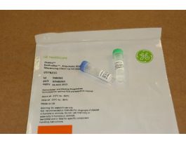 KIT ILLUXTRA ENZ PCR / CLEAN-UP 500RXN