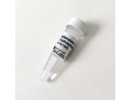 ADENOSINE-5 TRIPHOSPHATE, 1ML