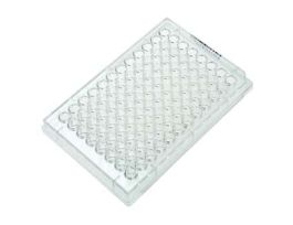 96-Well Cell Culture Plate; 100/cs