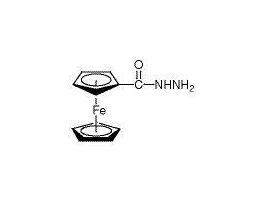 (HYDRAZINOCARBONYL)FERROCENE1G
