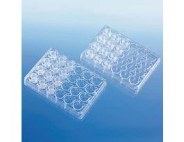 BRANDplates cellGrade plus Microplates for Inserts, 24-Well, 13 mm; 10/PK