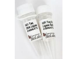 HIFI TAQ DNA LIGS FRM E.COLI STRN 50 RXN