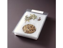 COMMERCIAL CROPS IDENTIFICATION MOUNTS CS