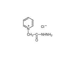 GIRARD'S REAGENT P 25GM