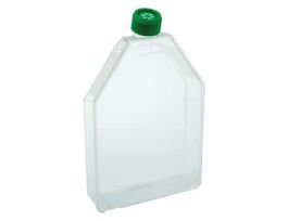 Sterile Treated Culture Flasks with Vented Caps, 300 cm; 18/cs