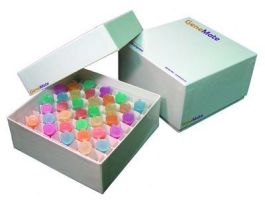 BOX 2IN W/DRAIN HOLES/81-PL DIVIDER