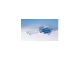 Glass Staining Dish and Cover, without Rack; 10-Slide Capacity