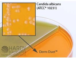DERM-DUET RSM/DTM PK10