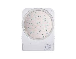 COMPACT DRY X-SA HDX 25 PKS OF 4 PLATES