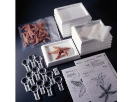 ADVANCED STARFISH DISSECTION LAB