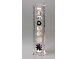 EYE ANATOMY MUSEUM MOUNT