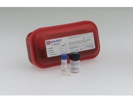 G.STEAROTHERMOPHILUS ATCC-12980 PACK 5