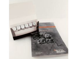 ONETAQ RTPCR KIT 30 RXNS