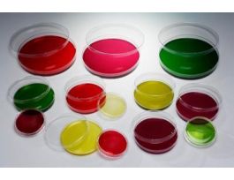 PETRIDISHPSNAT3STERILE