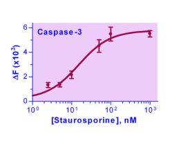 KIT CASPASE-3 ASSAY QUANTIFLUO 100 TESTS