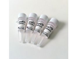 ACYCLONUCLEOTIDE SET