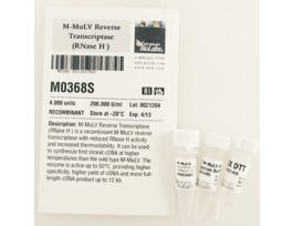 M-MULV REVERSE TRANSCRIPTASE