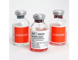 MATRIGEL MATRIX GFR 10ML DI.