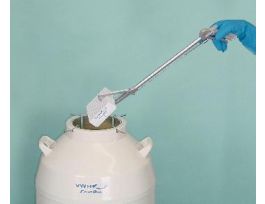 VWR LQUD LEVEL MEASURING STICK