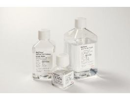 WATER MOL BIO GR NUCLEASE-FREE 1L PK6