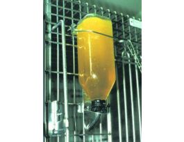 PRANG ORAL REHYDRAT GRAPE 1GAL