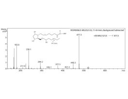 AMP+ MAXSPEC KIT 50 TEST