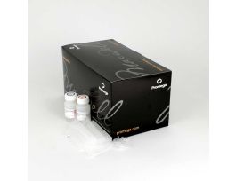 MAXWELL 16 FFPE PLUS DNA KIT