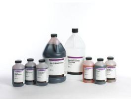 STAIN,EOSIN Y ALC,SHNDN,2X1L