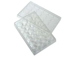 24-Well Treated Cell Culture Plate with Lid; 50/cs