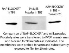 BLOCKING AGENT NAP-BLOCKER 2X IN PBS 1L