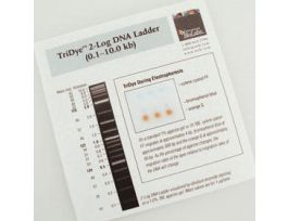 TRIDYE 2-LOG DNA LADDER