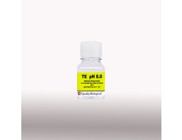 TE PH 8.0 (MBG) 100ML