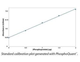 PHOSPHOQUANT 400ASSAYS