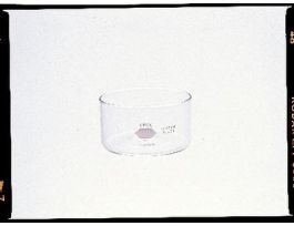 DISH CRYST. KIMAX 50X35 MM CS