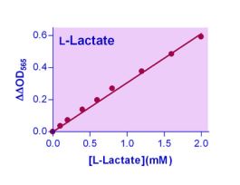 KIT L-LAC ASSAY ENZYCHROM 0.05MM 100TEST