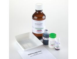 REAGENT SYSTEM DNA GEL ELECTROPHORESIS
