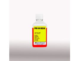 INRPMI W/25MM HEPES,500MLIN