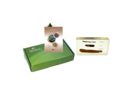 EMBEDMENT ANNELID TYPES