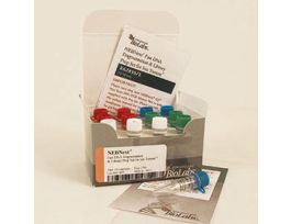 NEBNEXT FAST DNA FRAGMENTATION