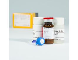 ONE-GLO+TOX LUCIF & CELL VIA ASY 1 PLATE
