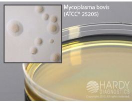 MYCOPLASMA AGAR PK10