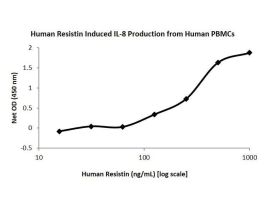 100-107-500UG HUMAN RESISTIN