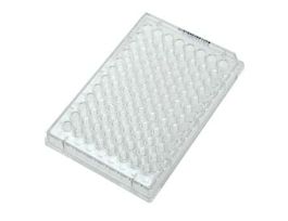 96-Well Cell Culture Plate; 100/cs