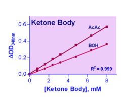 KIT KETONE BODY ASSAY ENZYCHROM 100 TEST