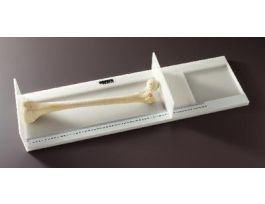 OSTEOMETRIC BOARD WARD'S