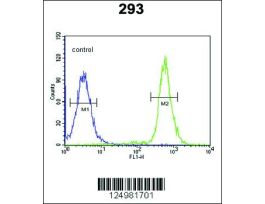 A2ML1 ANTIBODY (N-TERM)