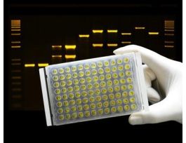 VWR HEAT-RESTNT FLMS FR PCR PLYSTR