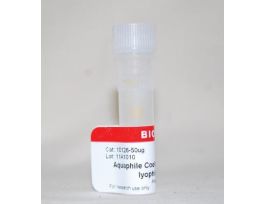 AQUAPHILE COELENTERAZINE H